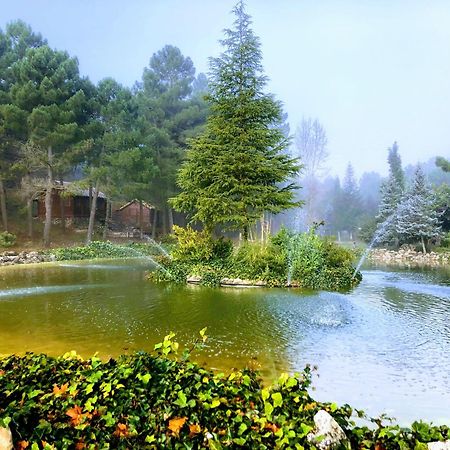 Chalet Esmeralda 3 D Y 2 Banos Zafiro Lagunazo Parque Natural Rio Mundo Риопар Экстерьер фото