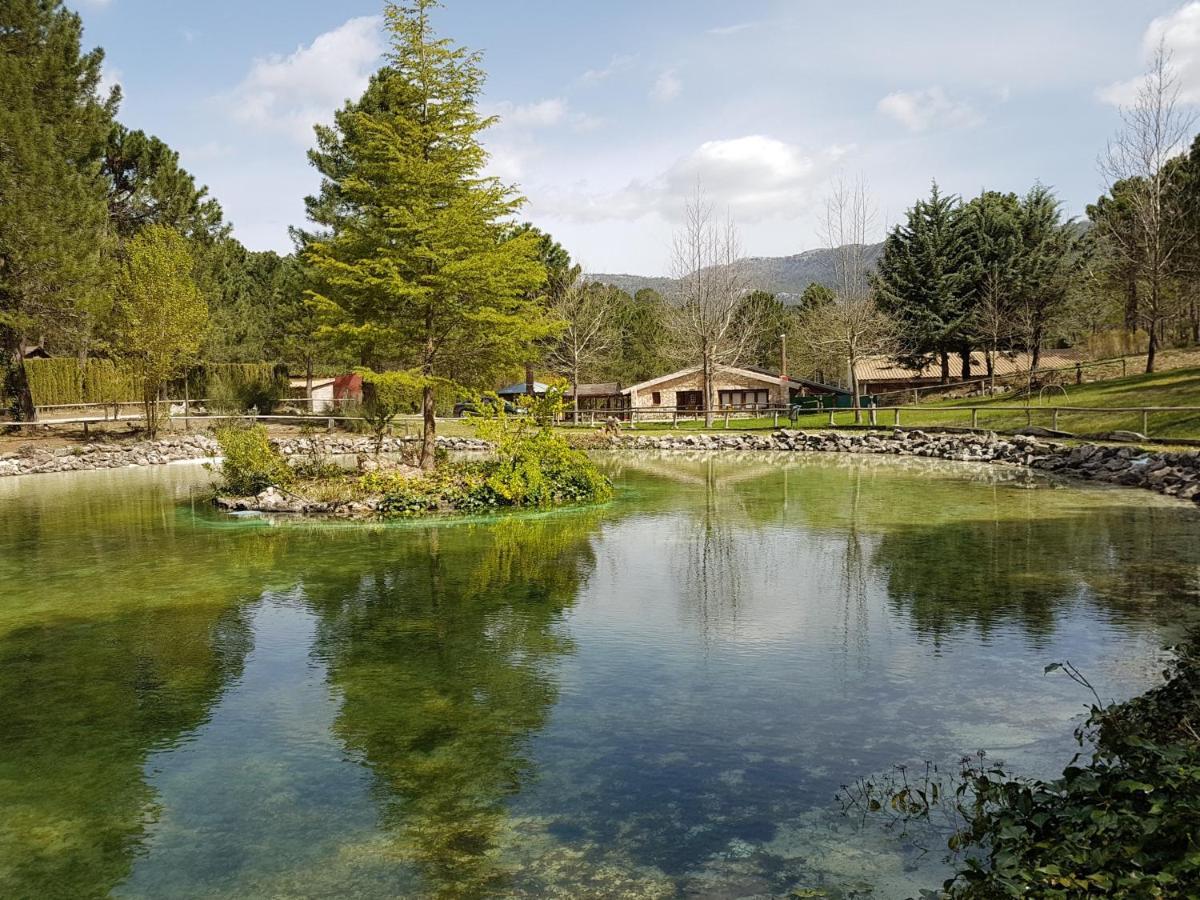 Chalet Esmeralda 3 D Y 2 Banos Zafiro Lagunazo Parque Natural Rio Mundo Риопар Экстерьер фото