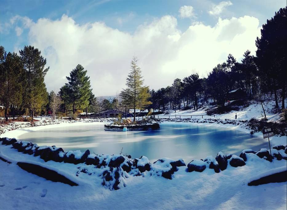 Chalet Esmeralda 3 D Y 2 Banos Zafiro Lagunazo Parque Natural Rio Mundo Риопар Экстерьер фото