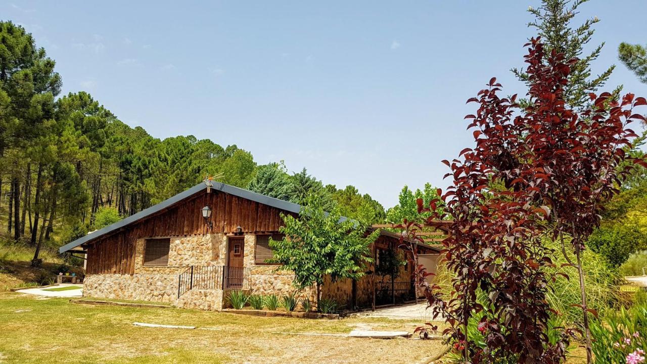 Chalet Esmeralda 3 D Y 2 Banos Zafiro Lagunazo Parque Natural Rio Mundo Риопар Экстерьер фото