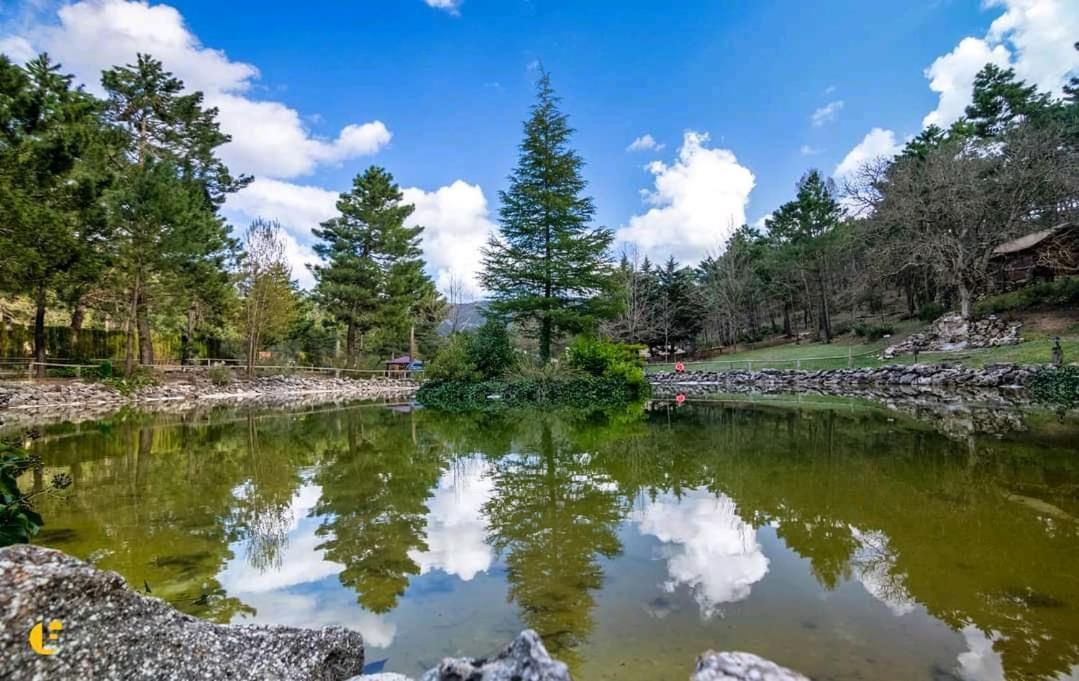 Chalet Esmeralda 3 D Y 2 Banos Zafiro Lagunazo Parque Natural Rio Mundo Риопар Экстерьер фото