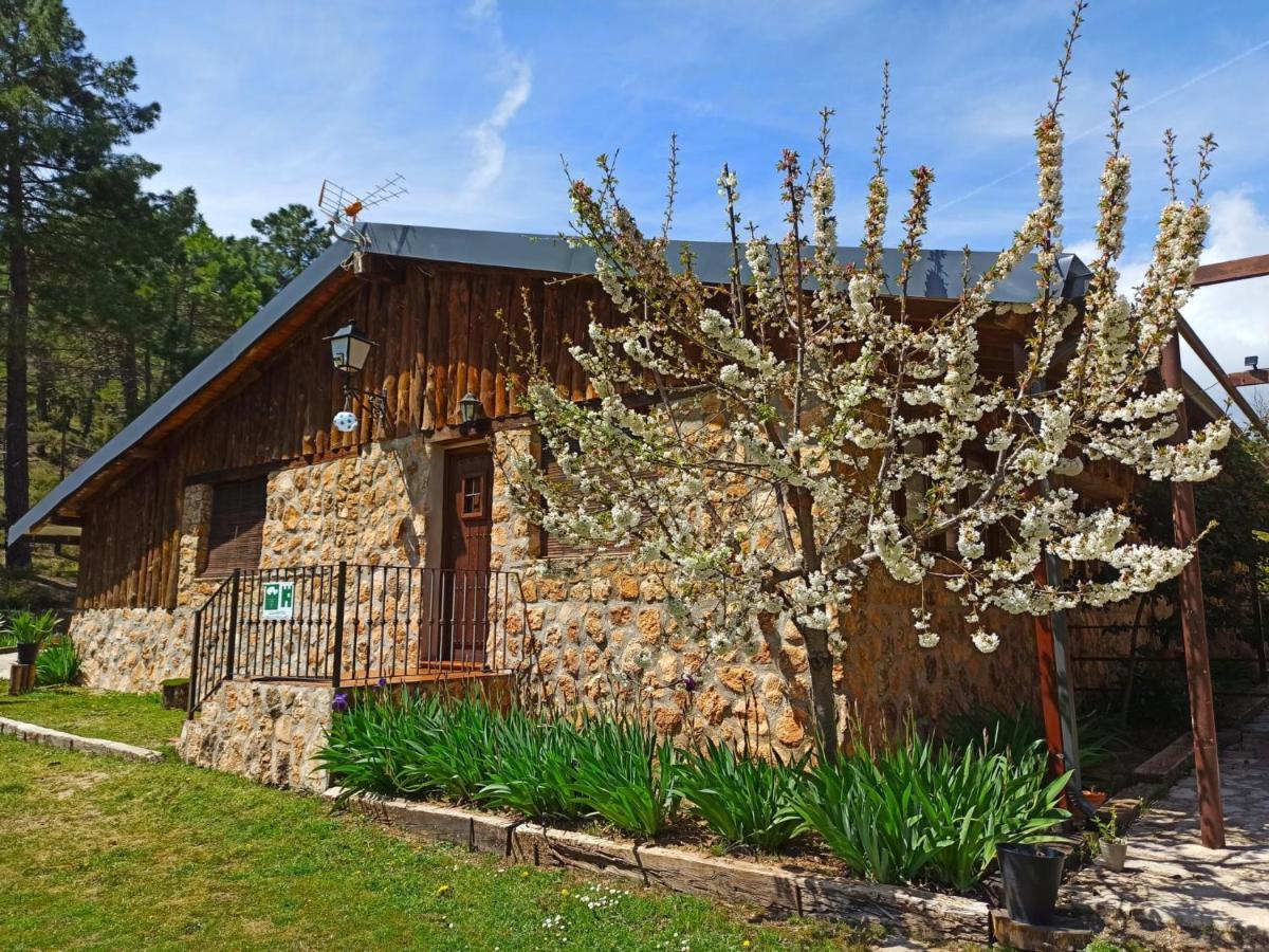 Chalet Esmeralda 3 D Y 2 Banos Zafiro Lagunazo Parque Natural Rio Mundo Риопар Экстерьер фото