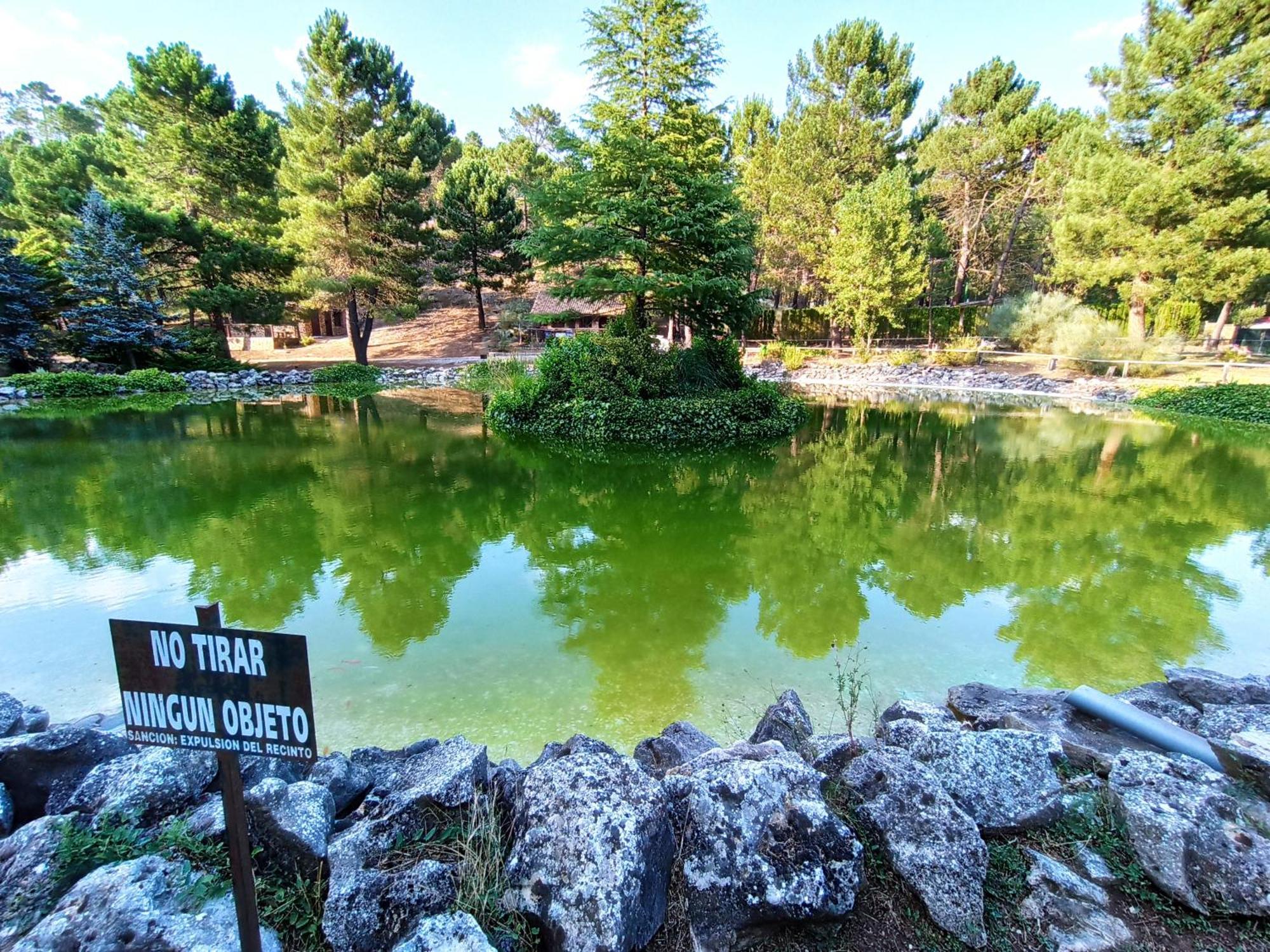 Chalet Esmeralda 3 D Y 2 Banos Zafiro Lagunazo Parque Natural Rio Mundo Риопар Экстерьер фото