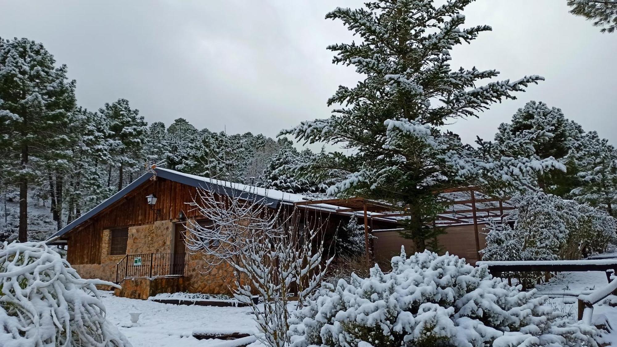 Chalet Esmeralda 3 D Y 2 Banos Zafiro Lagunazo Parque Natural Rio Mundo Риопар Экстерьер фото